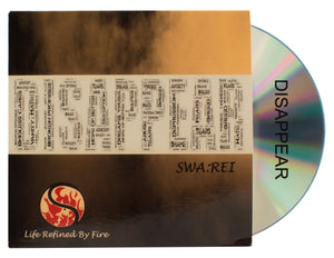 CD Single - Disappear